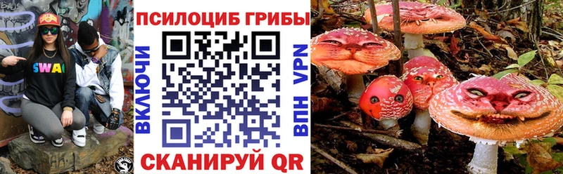 mega как зайти  Серафимович  Псилоцибиновые грибы Cubensis 